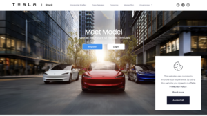 Teslastockoption.com scam fake Elon Musk Tesla private equity BBB warning $120000