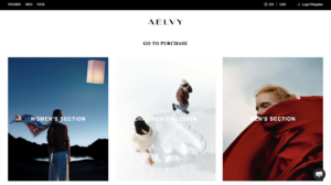 Aelvy scam review fake luxury dropshipping platform warning 2025